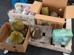 -上海龙吴水胜海发市场