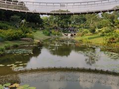 -东莞植物园