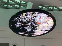 -深圳市当代艺术与城市规划馆