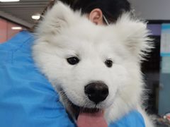 -佳雯宠物医院(四明中路分院)