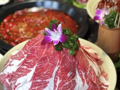 -巴倒烫陆派火锅山庄(南山总店)