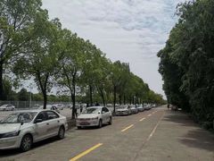 -胜华驾校·小猫学车(银都店)