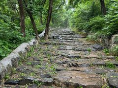 -阳台山自然风景区