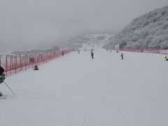 -太子岭滑雪场
