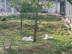 -石家庄市动物园