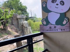 -宁波野生动物园