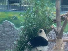 -黔灵山公园