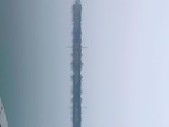 -漕湖湿地公园