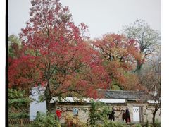 -塔川景区