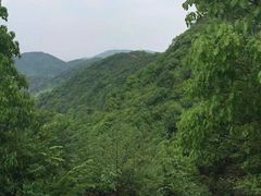 -桃花岭景区