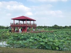 -嘉北郊野公园