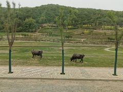 -南泥湾风景区