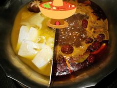 台式麻辣红颜花胶鸡鸳鸯锅-湊湊火锅·茶憩(打浦桥日月光店)