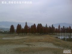 -塔川景区
