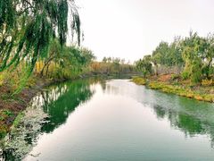 -东郊湿地公园