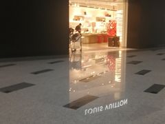 -LV路易威登(大兴国际机场店)