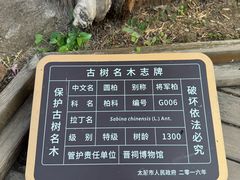-晋祠博物馆