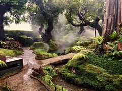 -Chom Cafe and Restaurant