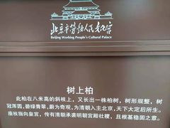 -北京市劳动人民文化宫(太庙)