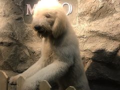 -MOJO密室逃脱(中街旗舰店)