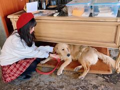 -了不起的考拉咖啡店(高新店)