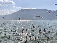 -海埂大坝