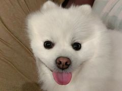 -邢大夫动物医院