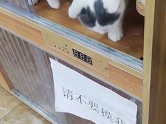 -A猫a狗全科·犬猫异宠·芥西宠物医院(南开总院)