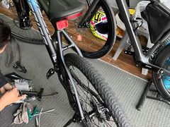 -道路口单车爱瓦士dahon大行