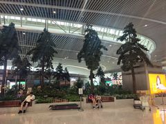 -青岛胶东国际机场