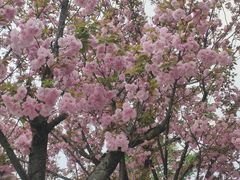 -首开·龙湖成都西宸天街