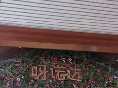 -呀诺达热带雨林