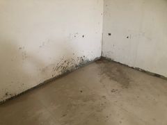 -隋唐大运河文化博物馆