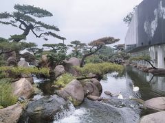 -罗红摄影艺术馆