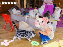 -萌宠亲子动物乐园(槐房万达店)