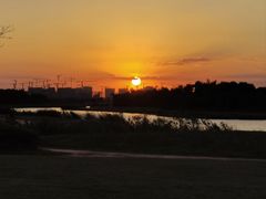 -春花秋色城市公园