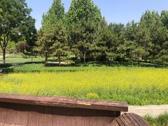 -北坞公园