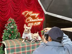 -佛山京华广场MALL