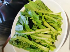 油麦菜-汕头八合里海记牛肉店(清河店)