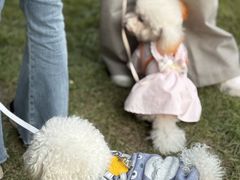 -上海神旺大酒店