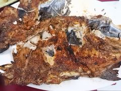 -北京龙庆四季香农家饭庄·灶台鱼·碳烤虹鳟鱼(龙庆峡店)