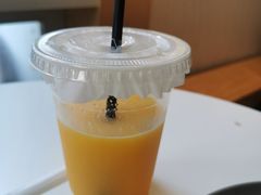 -吉森Bakery(教育路店)