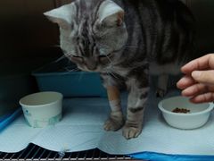 -安安宠医·臻爱宠物医院·宠保定点(营门口路分院)