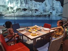 -帝企鹅自助餐厅•儿童岛•真企鹅(长隆企鹅酒店)