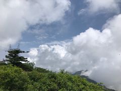 -秦岭风景区