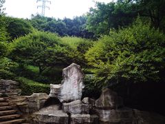 -重庆彩云湖湿地公园