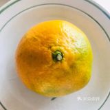 特产系列（三）东江湖蜜桔
