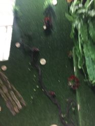 点击看大图 -圣婕美甲美睫皮肤管理
