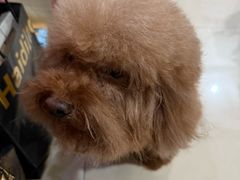-暖阳宠物医院·犬猫康复中心·骨科