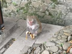 -伊岭岩风景区